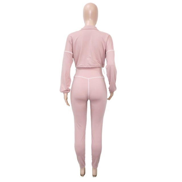 Casual Style Zipper Up Cropped Top Slim Pant Set