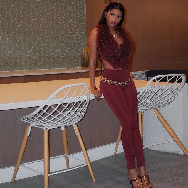 Furry V Neck Backless Top Tight Pant Set