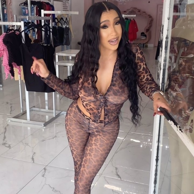 Leopard Printed Sheer Mesh Skinny Pant Set