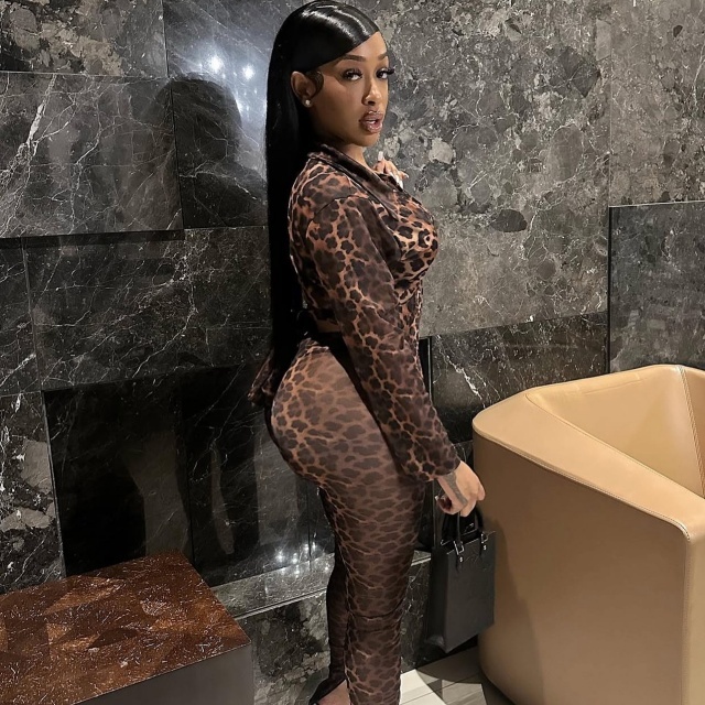 Leopard Printed Sheer Mesh Skinny Pant Set