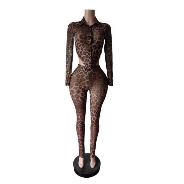 Leopard Printed Sheer Mesh Skinny Pant Set