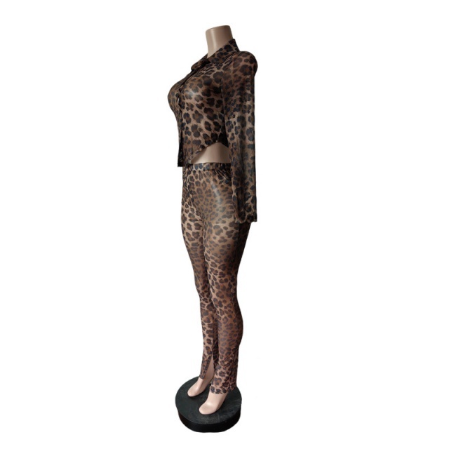 Leopard Printed Sheer Mesh Skinny Pant Set