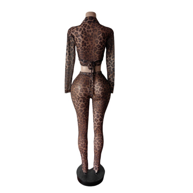 Leopard Printed Sheer Mesh Skinny Pant Set