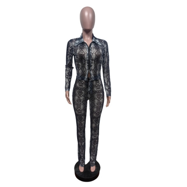 Snake Skin Printed Sheer Mesh Slim Pant Set
