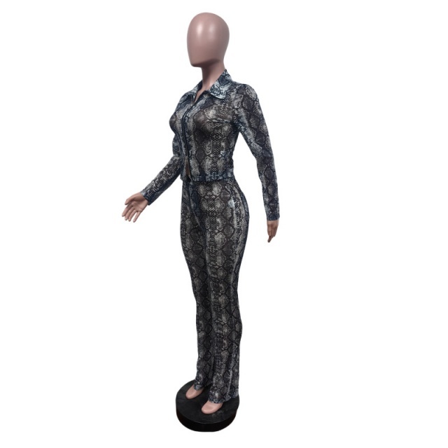 Snake Skin Printed Sheer Mesh Slim Pant Set