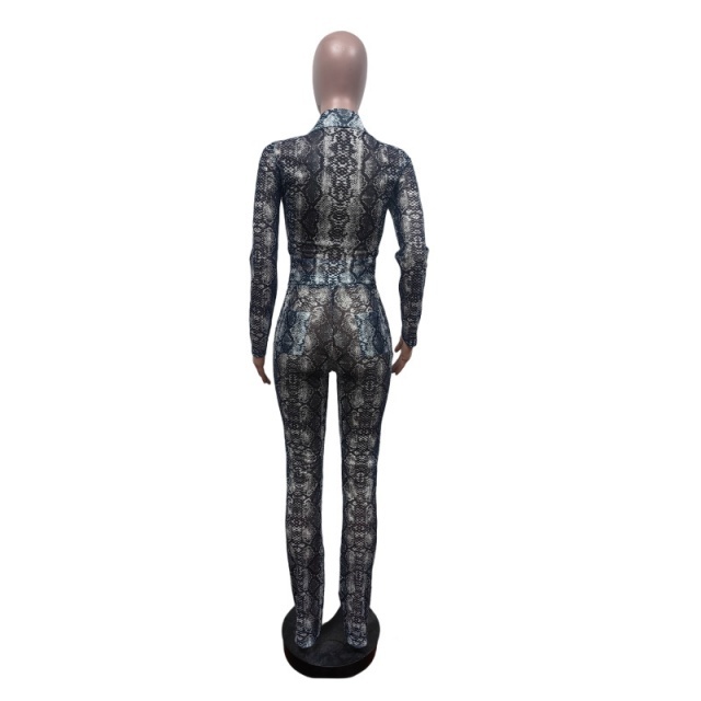 Snake Skin Printed Sheer Mesh Slim Pant Set