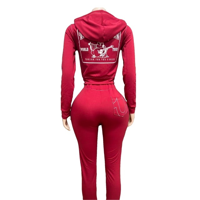 Vintage Style Hooded Zipper Up Hoodies Pant Set