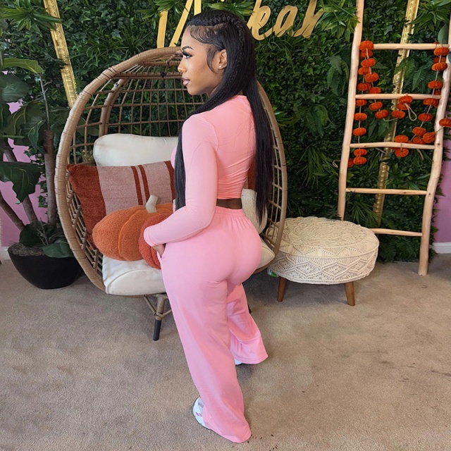 Basic Style Tight Top Casual Pant Set Two Pieces