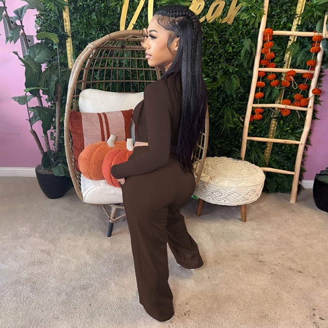 Basic Style Tight Top Casual Pant Set Two Pieces