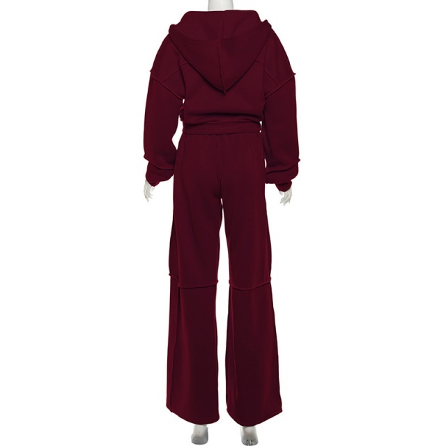 Casual Style Hooded Zipper Up Top Loose Pant Set