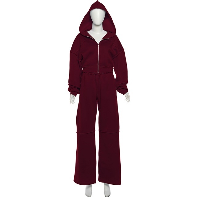 Casual Style Hooded Zipper Up Top Loose Pant Set