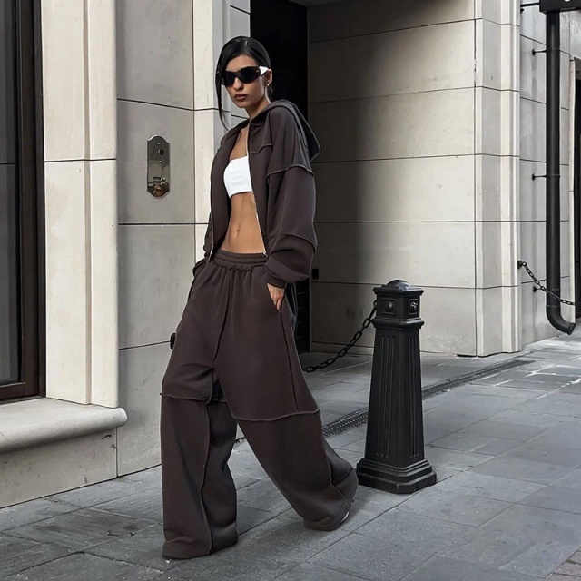 Casual Style Hooded Zipper Up Top Loose Pant Set