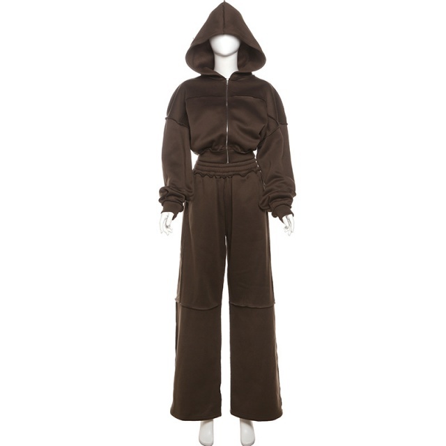 Casual Style Hooded Zipper Up Top Loose Pant Set