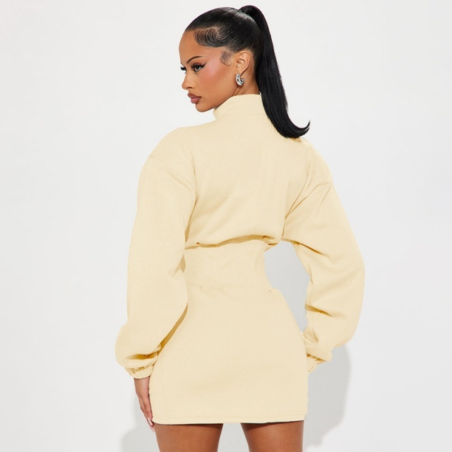 Solid Color Zipped Up Hoodies Mini Dress