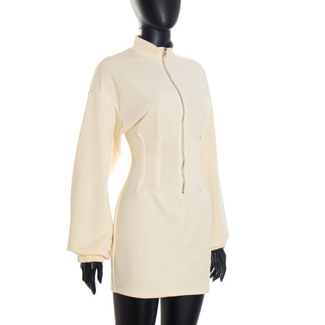Solid Color Zipped Up Hoodies Mini Dress