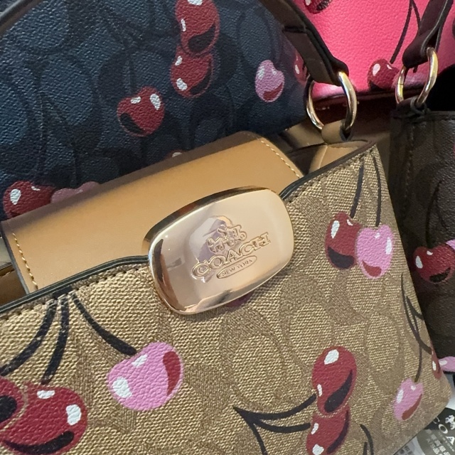 Fashion Printed Women Crossbody Handbags