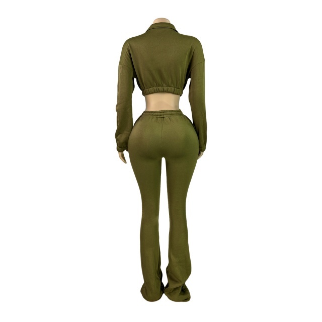 Solid Color Zipper Up Crop Hoodies Flare Pant Set