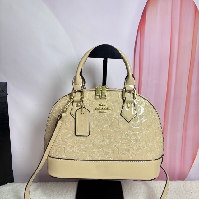 Fashion Leather Ladies Crossbody Bags