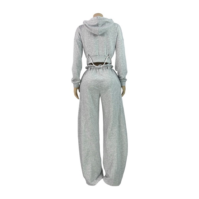 Casual Zipper Up Hooded Top Wide Legs Pant Set
