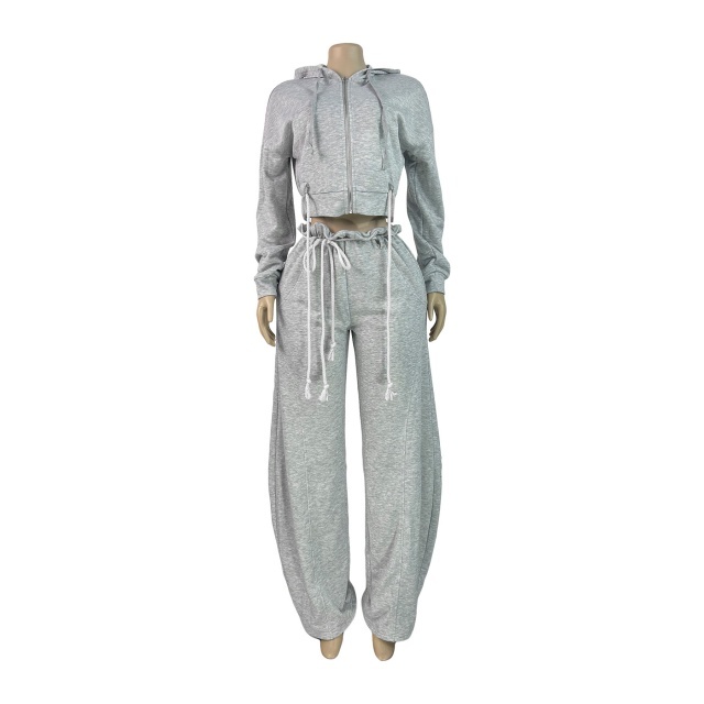 Casual Zipper Up Hooded Top Wide Legs Pant Set
