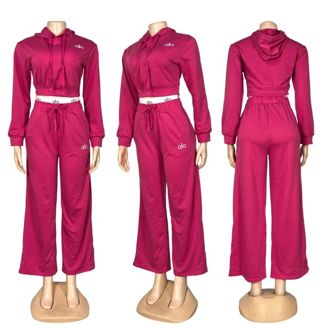 Fashion Embroidery Hooded Fall Tracksuit Set