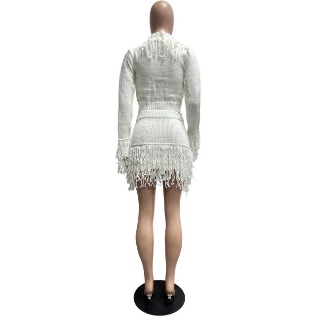 Knitted Crocheted Tassel Tie-up Bodycon Skirt Set