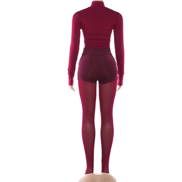 Long Sleeve Skinny Top Tight Mesh Stocking Set 3 Pieces