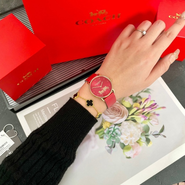 Luxury Fashion Women Casual Watch