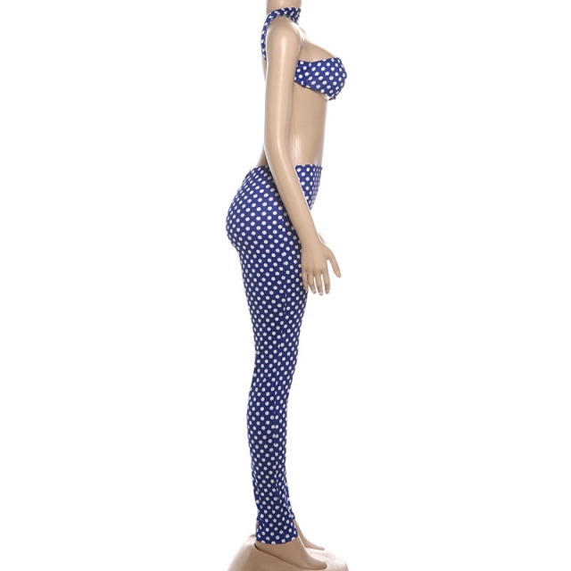 Polka Dots Printed Halter Crop top Tight Pant Set