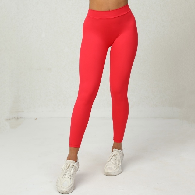 Activewear V Neck Crop Top Tight Pant Set