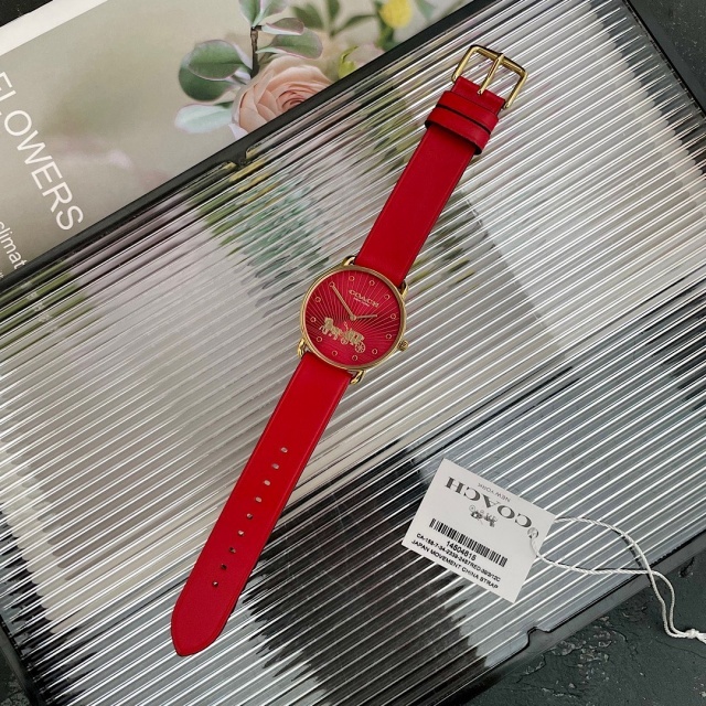 Luxury Fashion Women Casual Watch