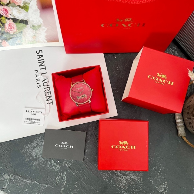 Luxury Fashion Women Casual Watch