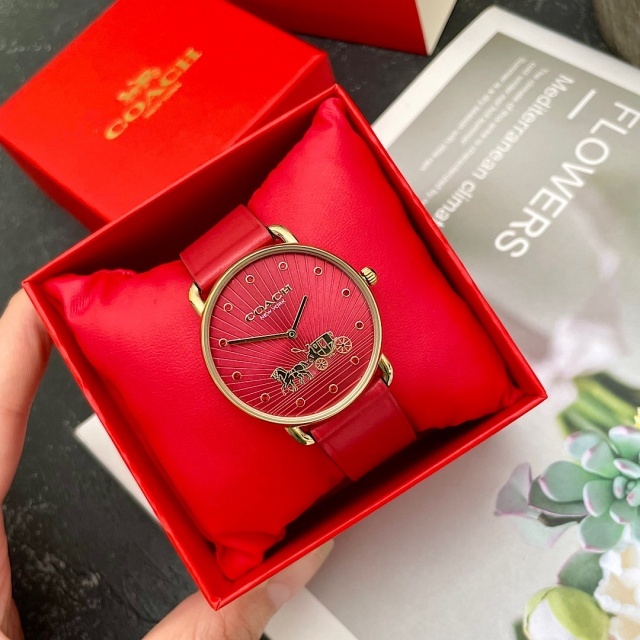 Luxury Fashion Women Casual Watch