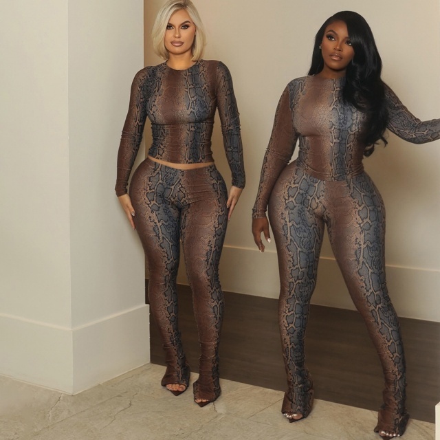 Snake Skin Printed Two Pieces Tight Pant Set