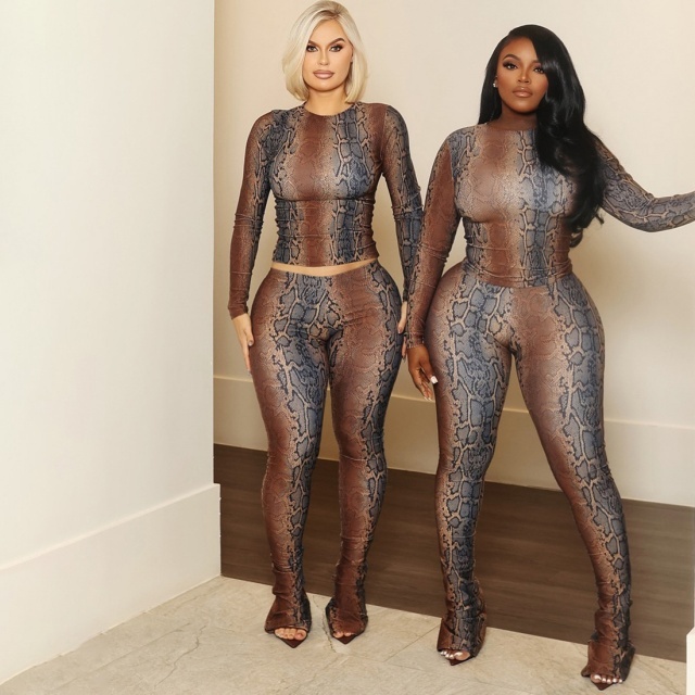 Snake Skin Printed Two Pieces Tight Pant Set