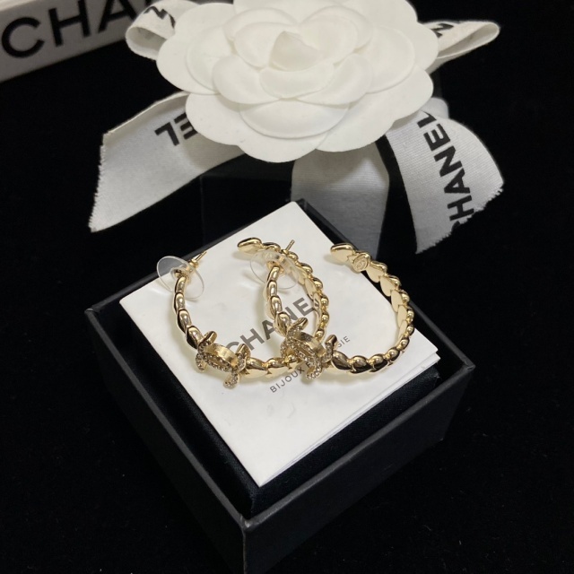 Luxury Fashion Stylish Earrings