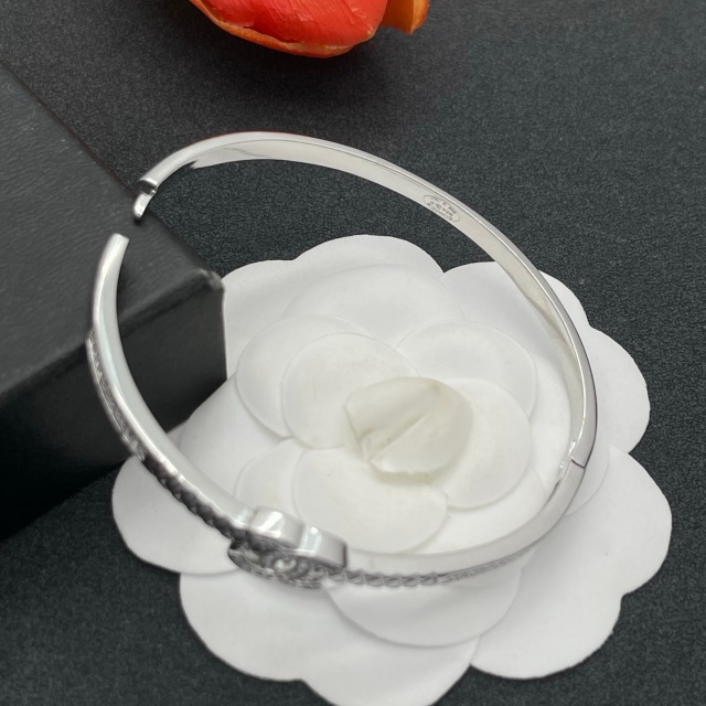 Crystals Meticulously Set Hinge Bangle