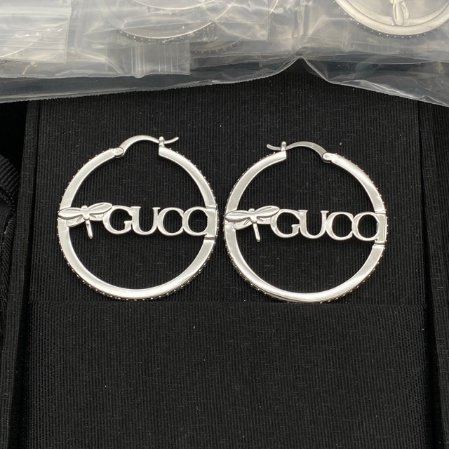 Luxury Fashion Circle Earrings