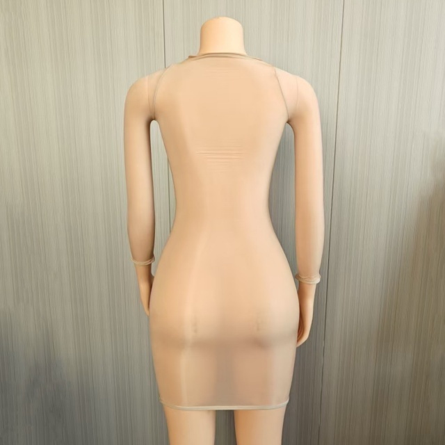 Sheer Mesh Tight Lingerie Dress