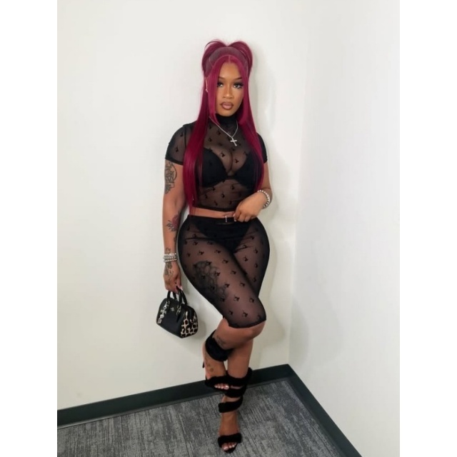 Sheer Mesh Cropped Tops Two Pieces Short Set