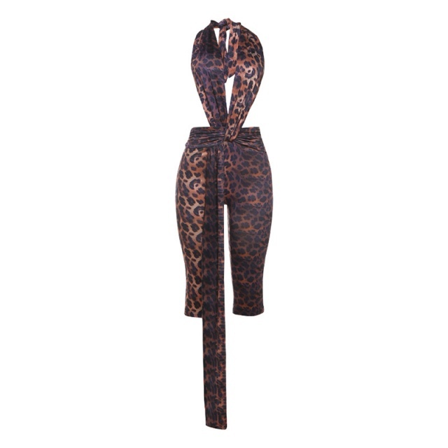 Deep V Neck Halter Backless Skinny Jumpsuit