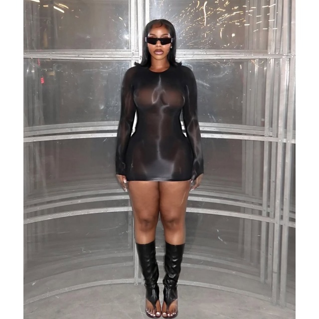 Sheer Mesh Tight Lingerie Dress