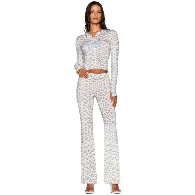 Casual Style Hooded Top Flare Pant Set