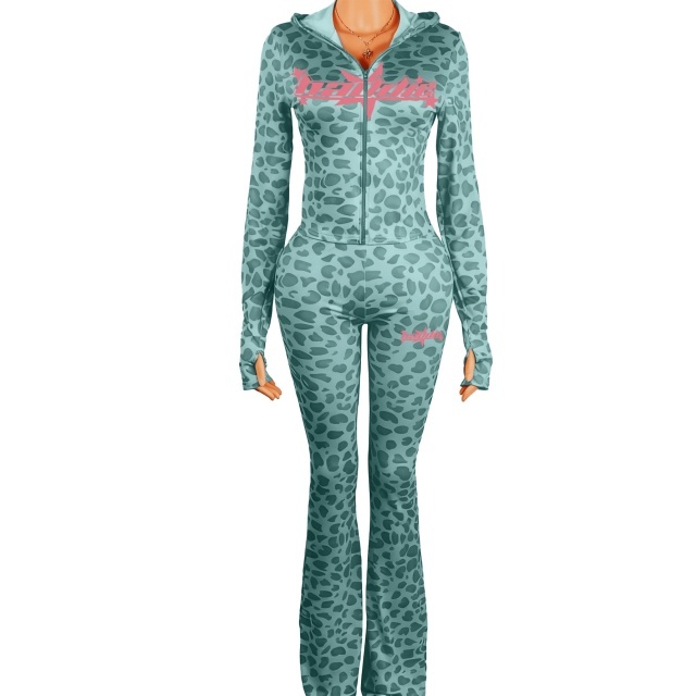 Baddie Printed Hooded Two Pieces Pant Set