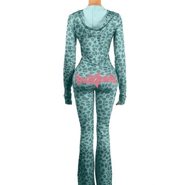 Baddie Printed Hooded Two Pieces Pant Set
