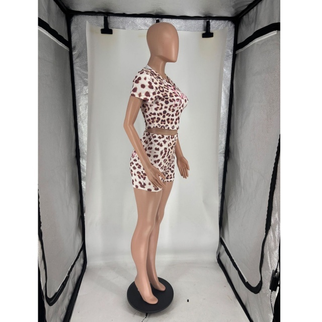 Printed Short Sleeve Hooded Top Short Set