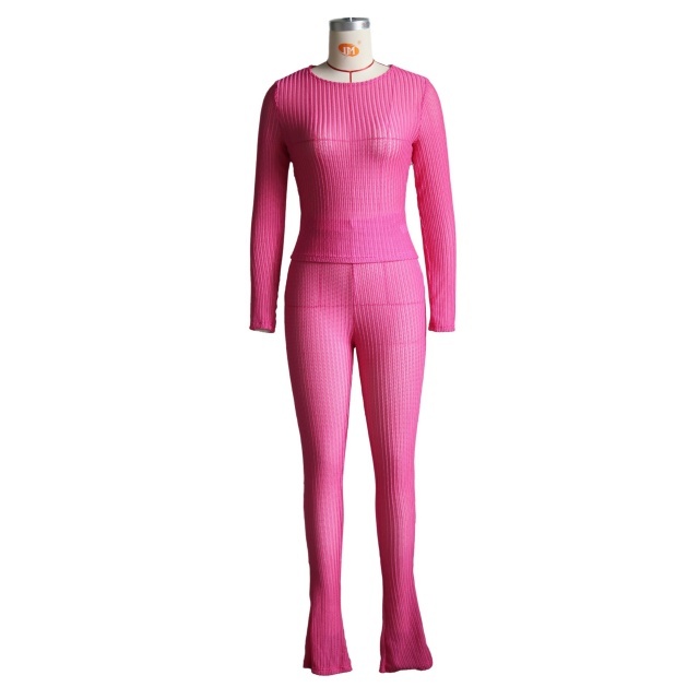 Solid Color See Through Slim Fit Pant Set