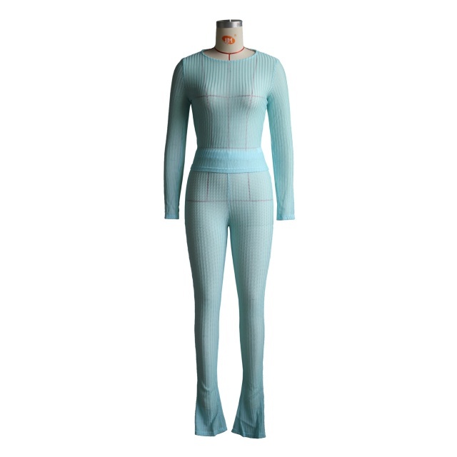 Solid Color See Through Slim Fit Pant Set