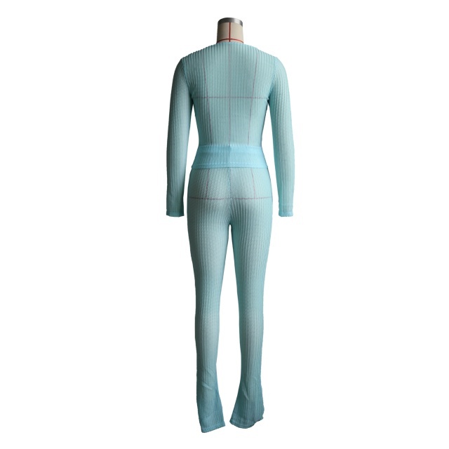 Solid Color See Through Slim Fit Pant Set