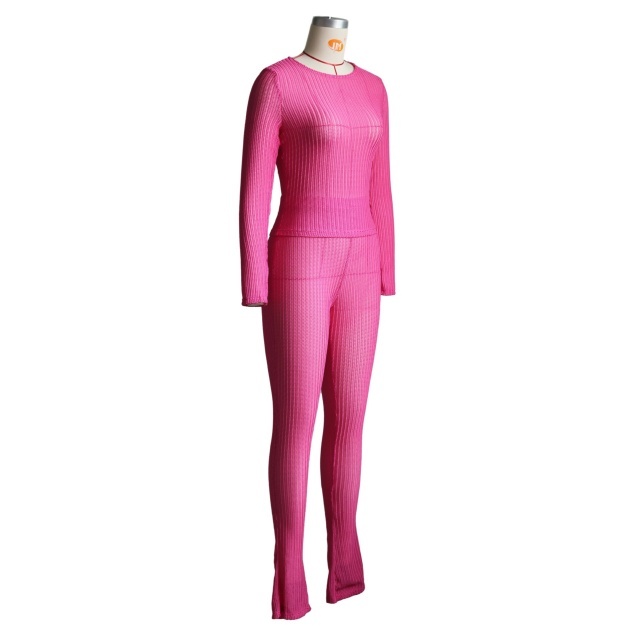Solid Color See Through Slim Fit Pant Set